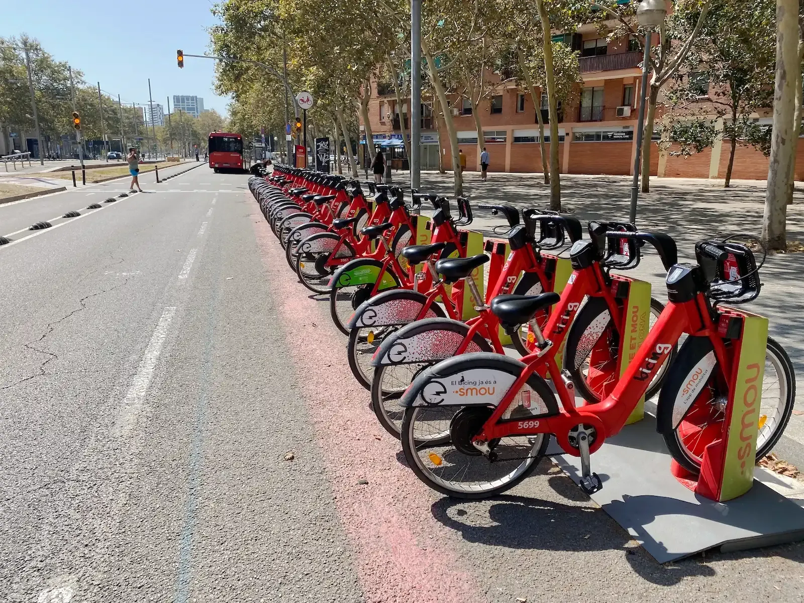 Electric Bicing Bikes